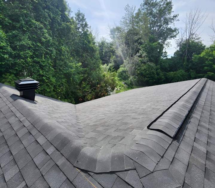 Toiture robuste en bardeaux d'asphalte